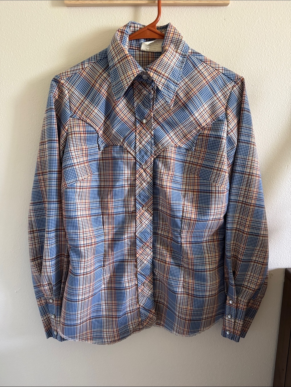 Vintage Fenton button down